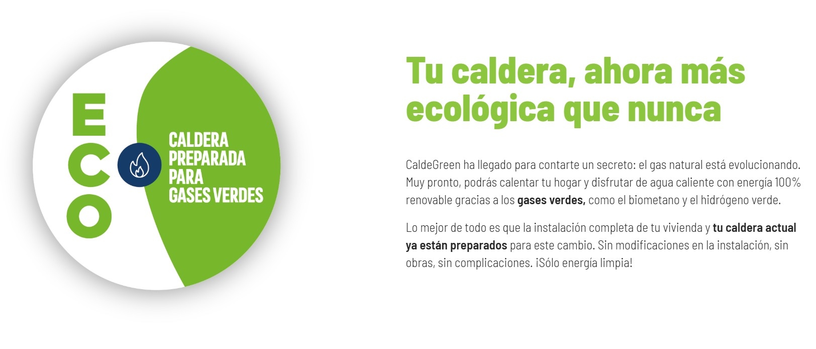 Etiqueta ECO: caldera preparada para gases verdes